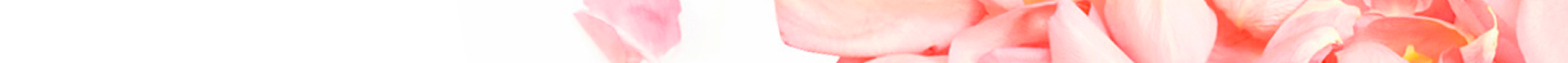 divisore-home-page_80